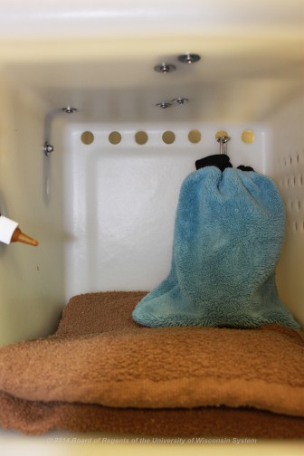 incubator-with-surrogate-and-bottle